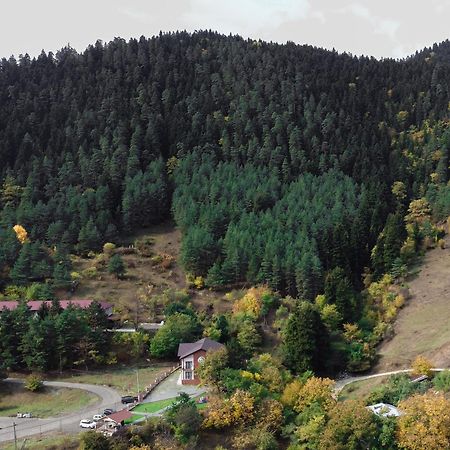 Holiday Borjomi Qvibisi Kültér fotó