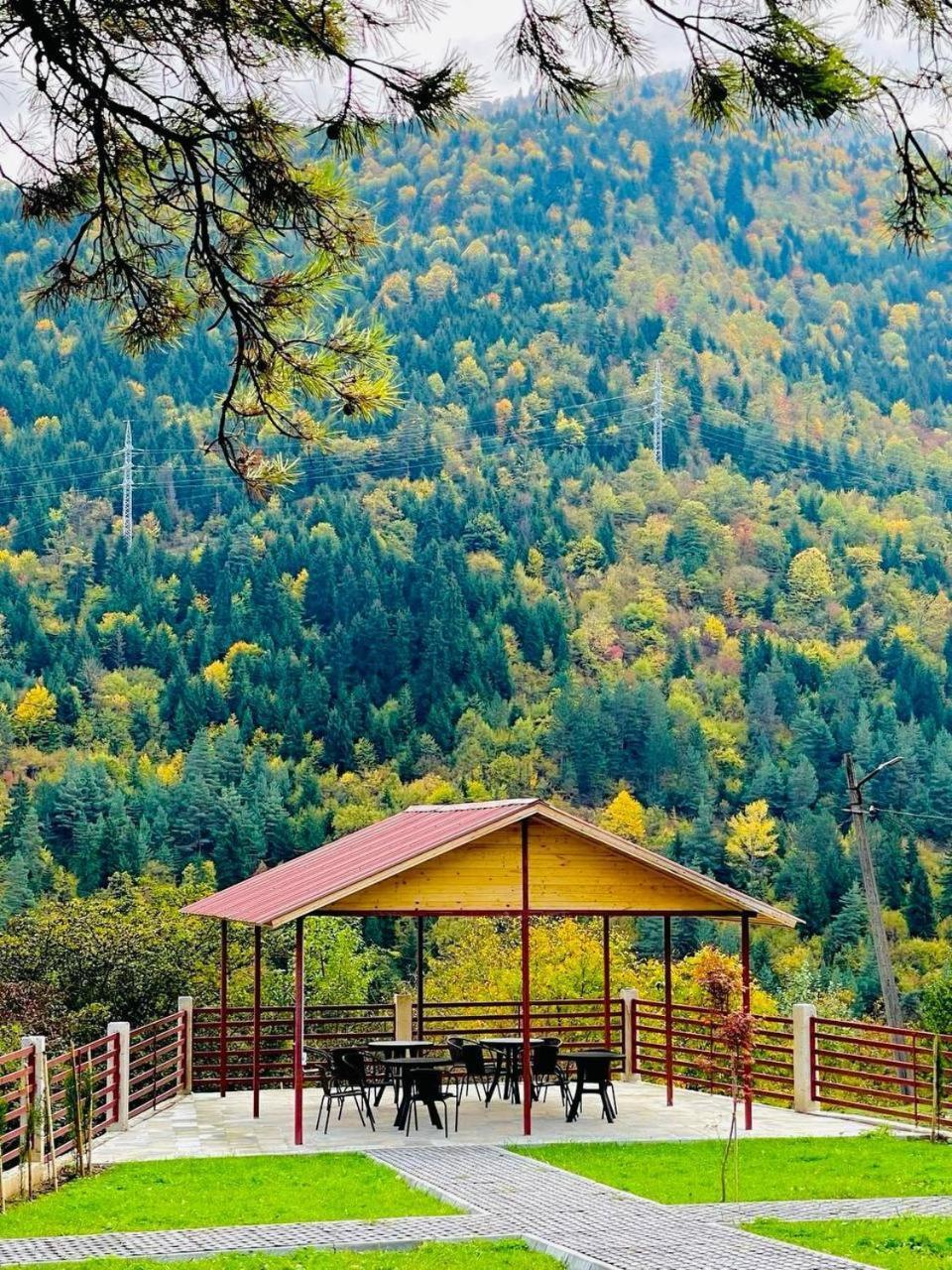 Holiday Borjomi Qvibisi Kültér fotó