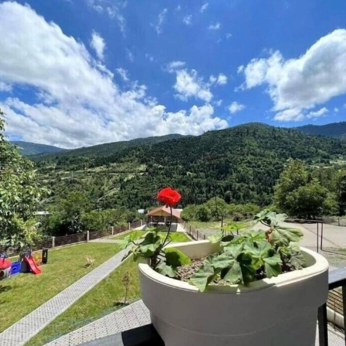 Holiday Borjomi Qvibisi Kültér fotó