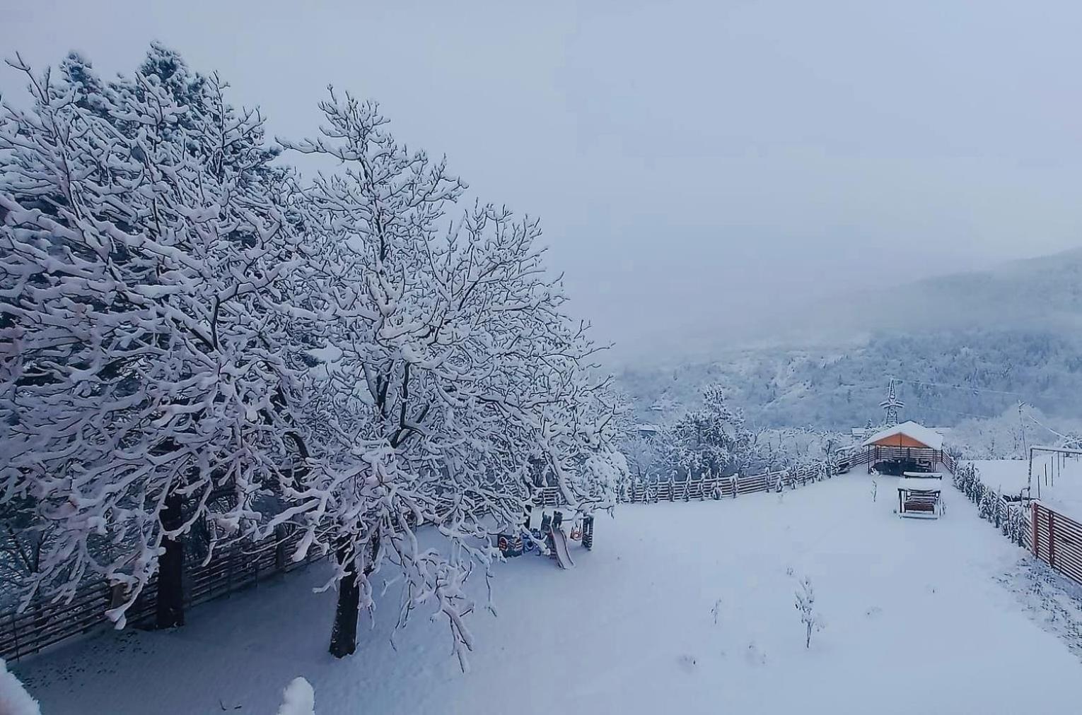 Holiday Borjomi Qvibisi Kültér fotó