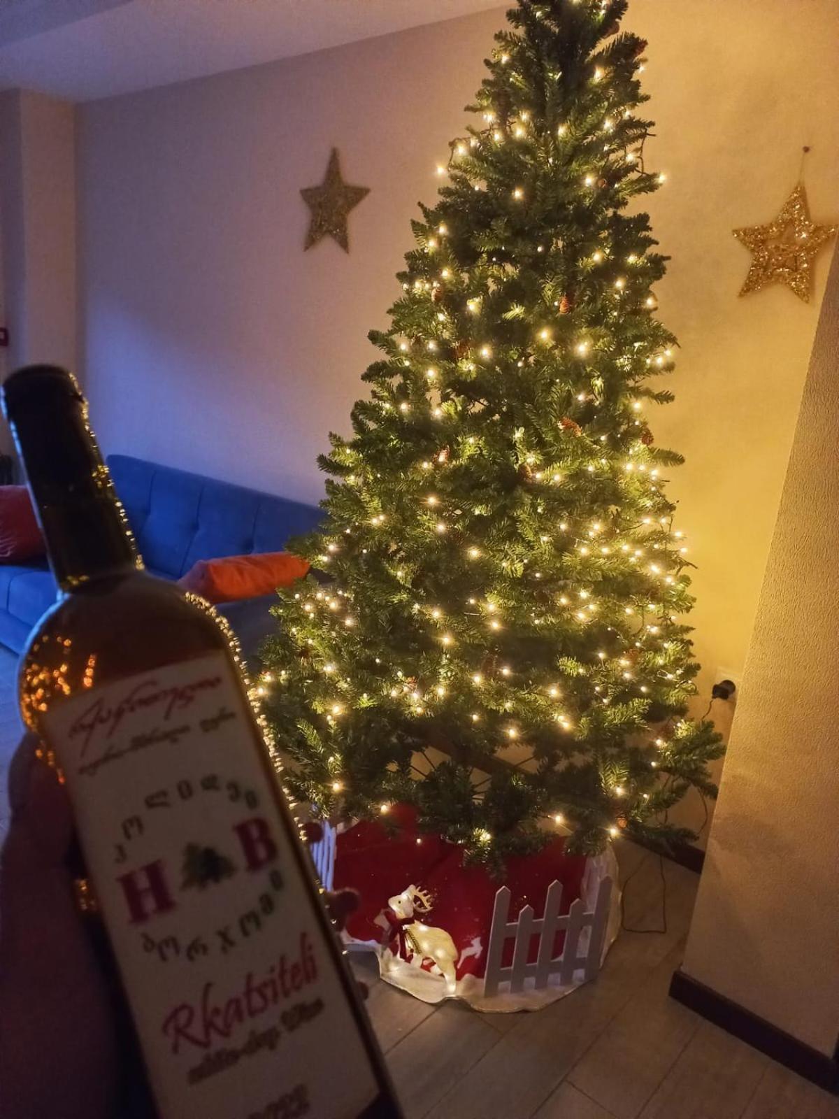 Holiday Borjomi Qvibisi Kültér fotó